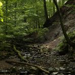 Kaskadenschlucht in der Rhön