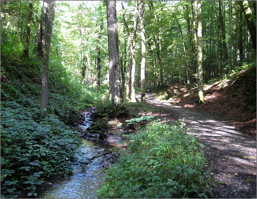 Kaskadental bei Bad Kissingen