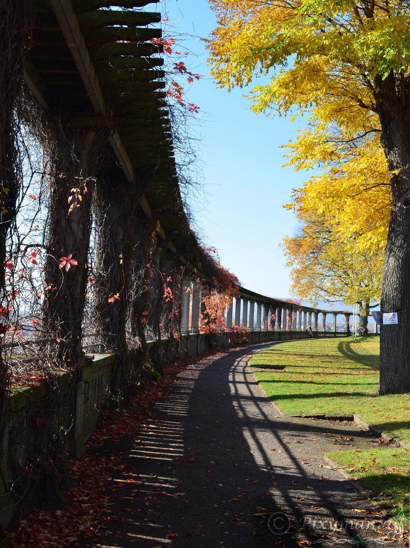 Kassel, Am Weinberg im Herbst