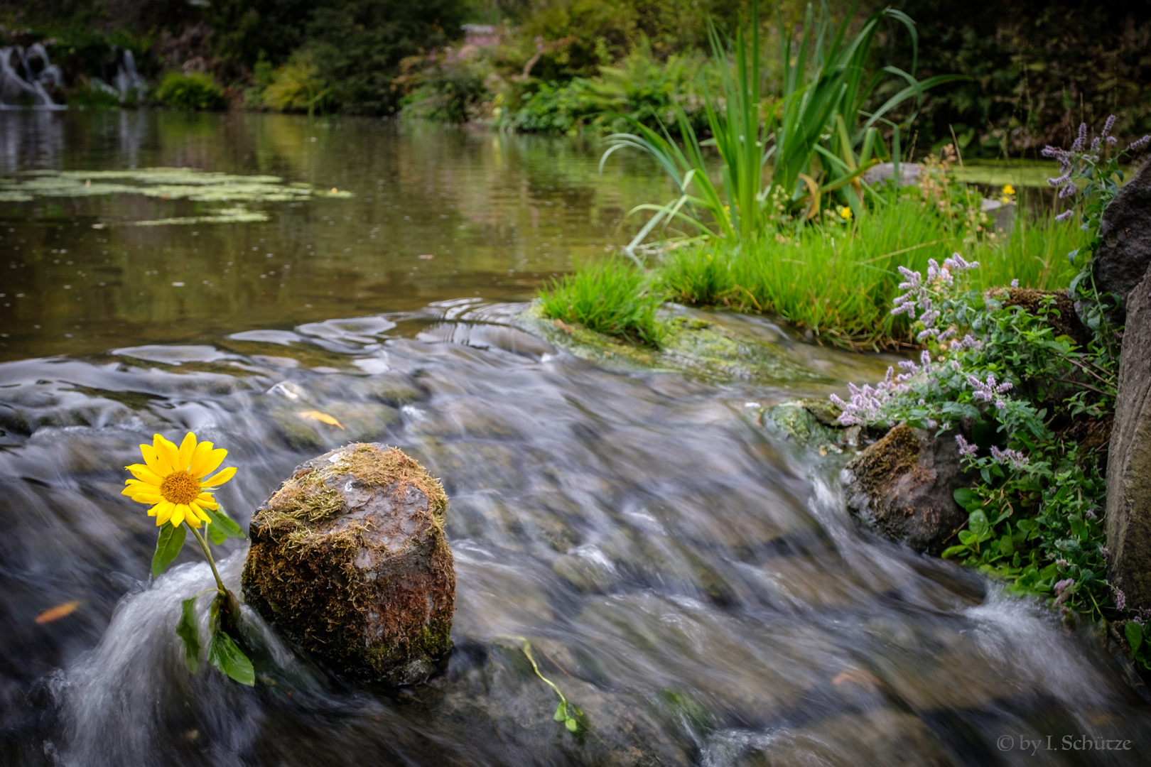 Kassel - Bergpark Wilhelmshöhe