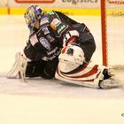 Kassel Huskies vs. Eisbären Berlin - hab ihn !!