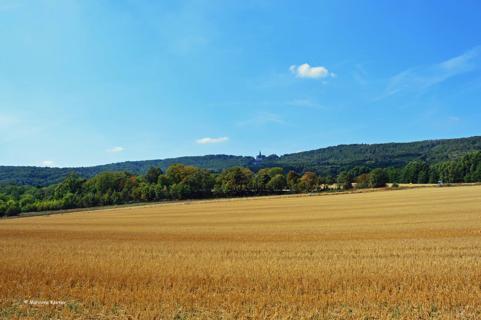 Kassel vertrocknet