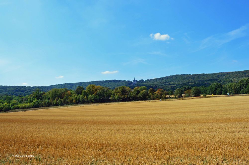 Kassel vertrocknet