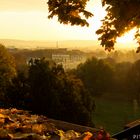 Kasseler Orangerie im Morgenlicht 1