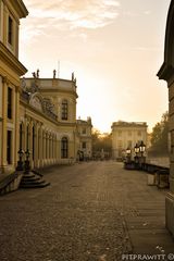 Kasseler Orangerie im Morgenlicht 2