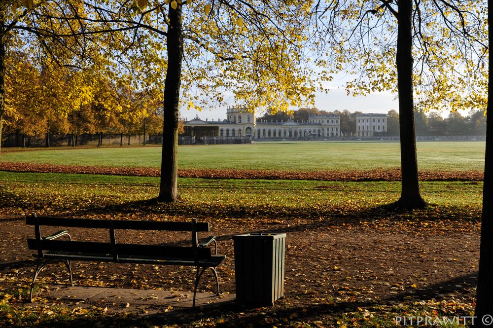 Kasseler Orangerie im Morgenlicht 3