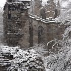 Kassel_Winter im Bergpark Wilhelmshöhe_4