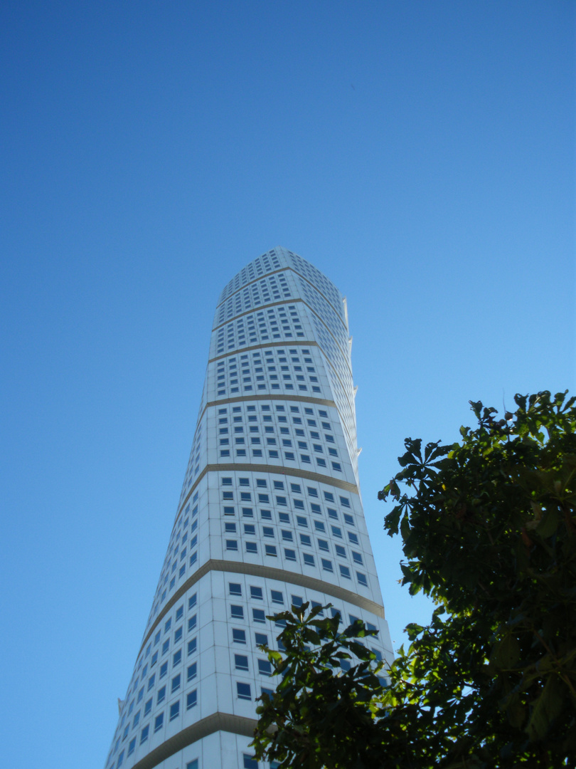 Kastanie vor Turning Torso