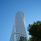 Kastanie vor Turning Torso