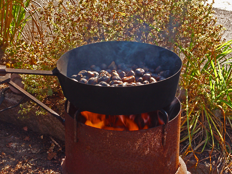 Kastanien aus dem Feuer holen