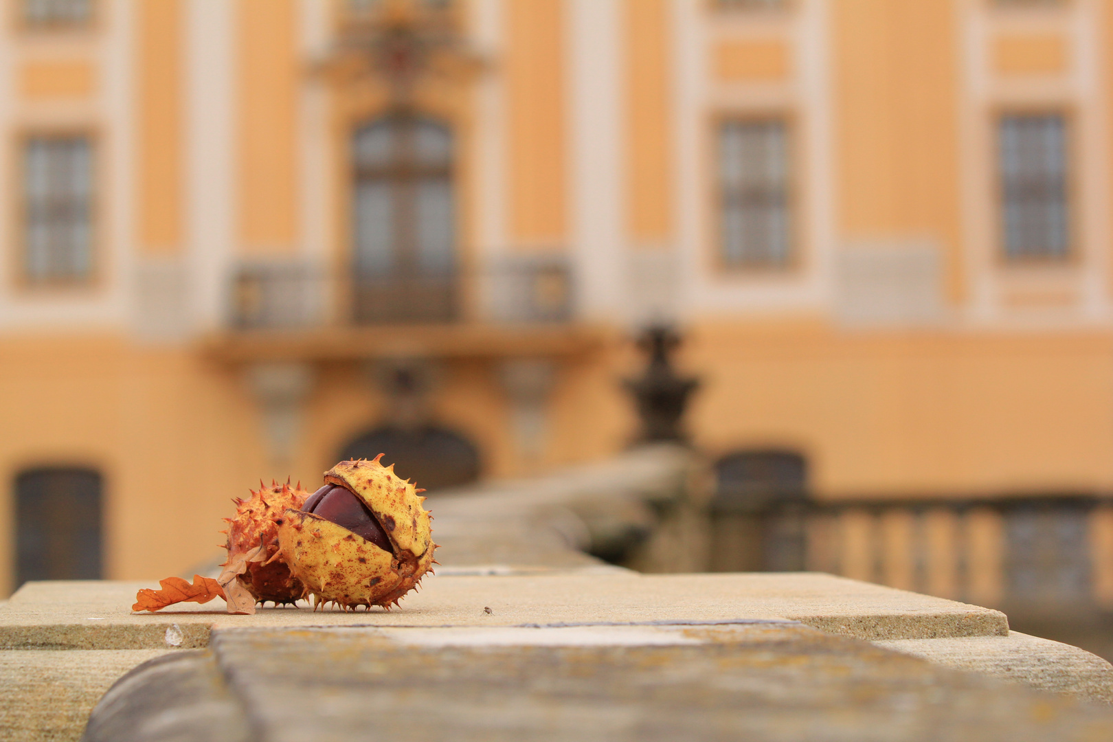 Kastanien im Aschenputtel Schloss