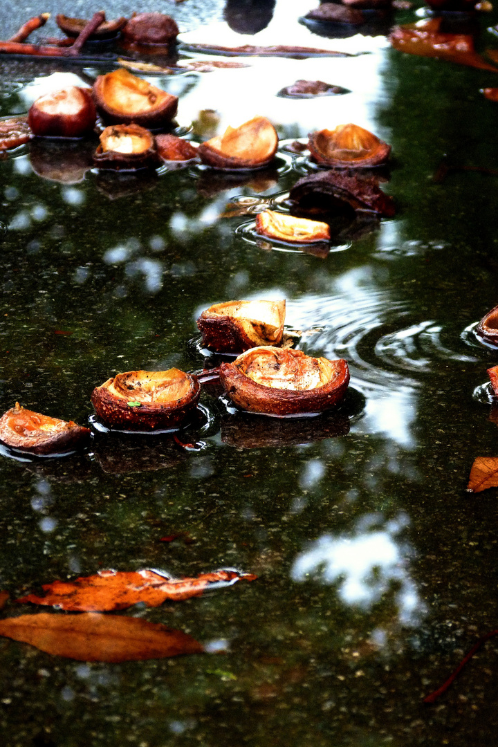 Kastanien im Wasserbad