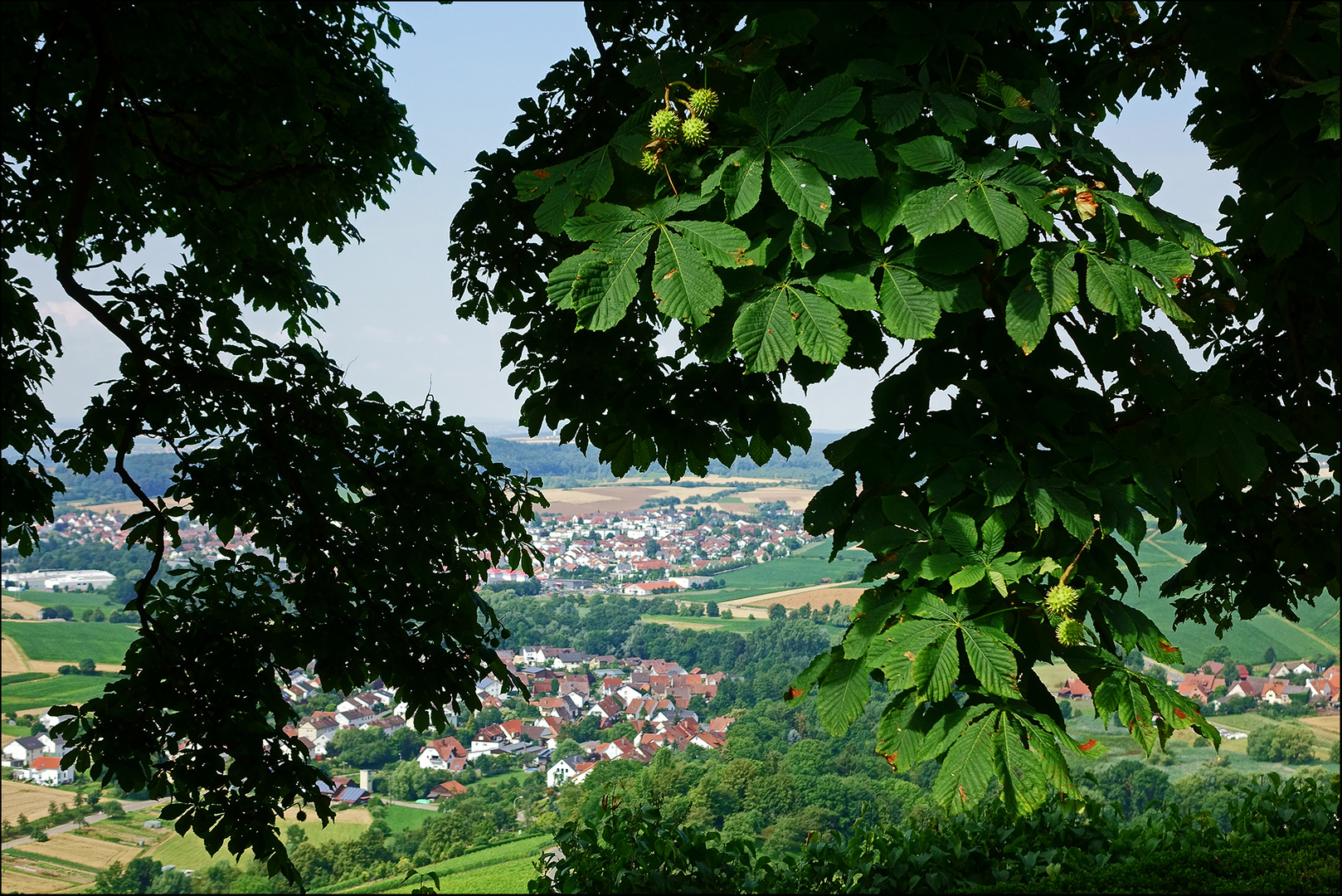 Kastanien mit Aussicht