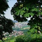 Kastanien mit Aussicht