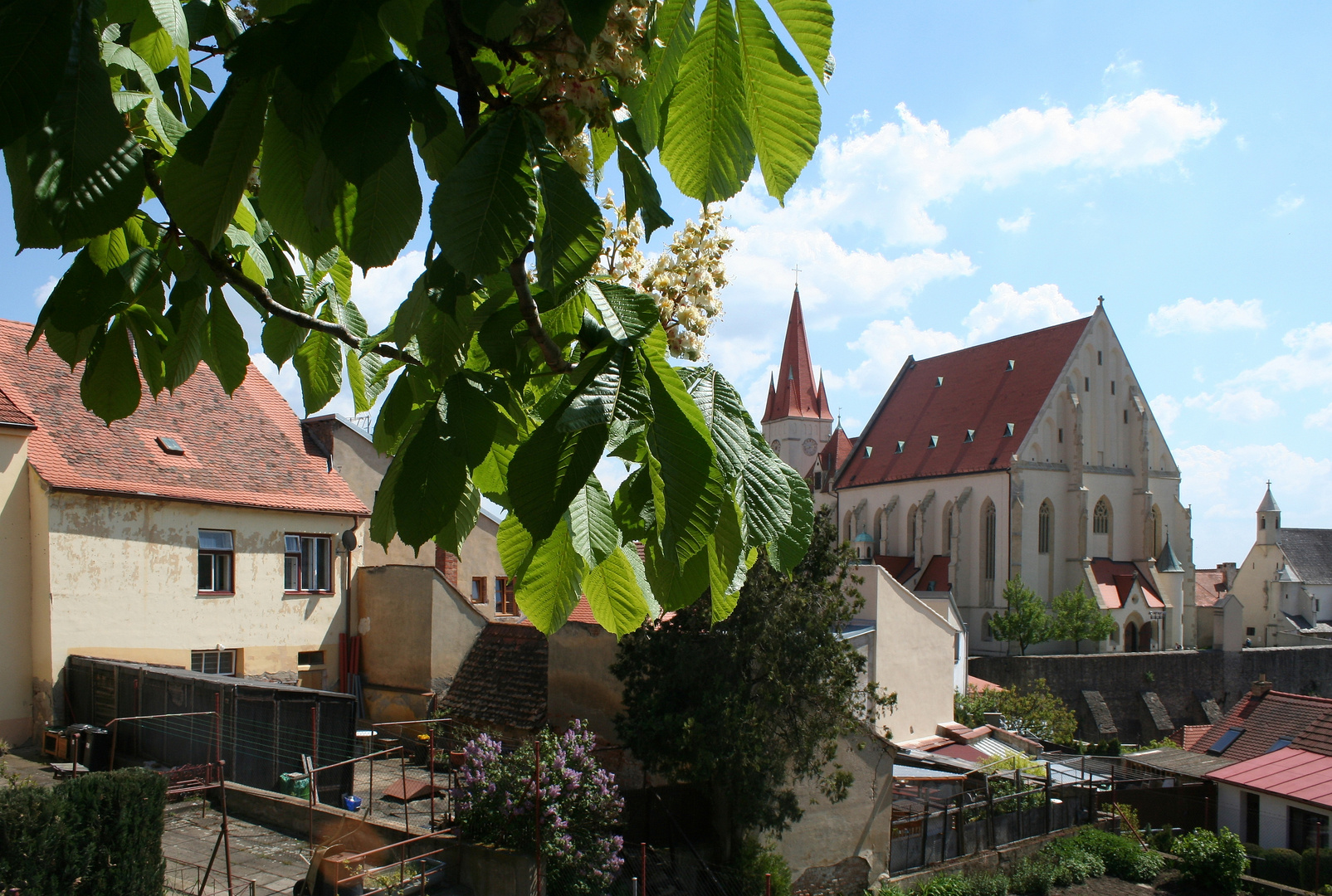 Kastanien- und Fliederblüte in Znojmo