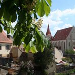 Kastanien- und Fliederblüte in Znojmo