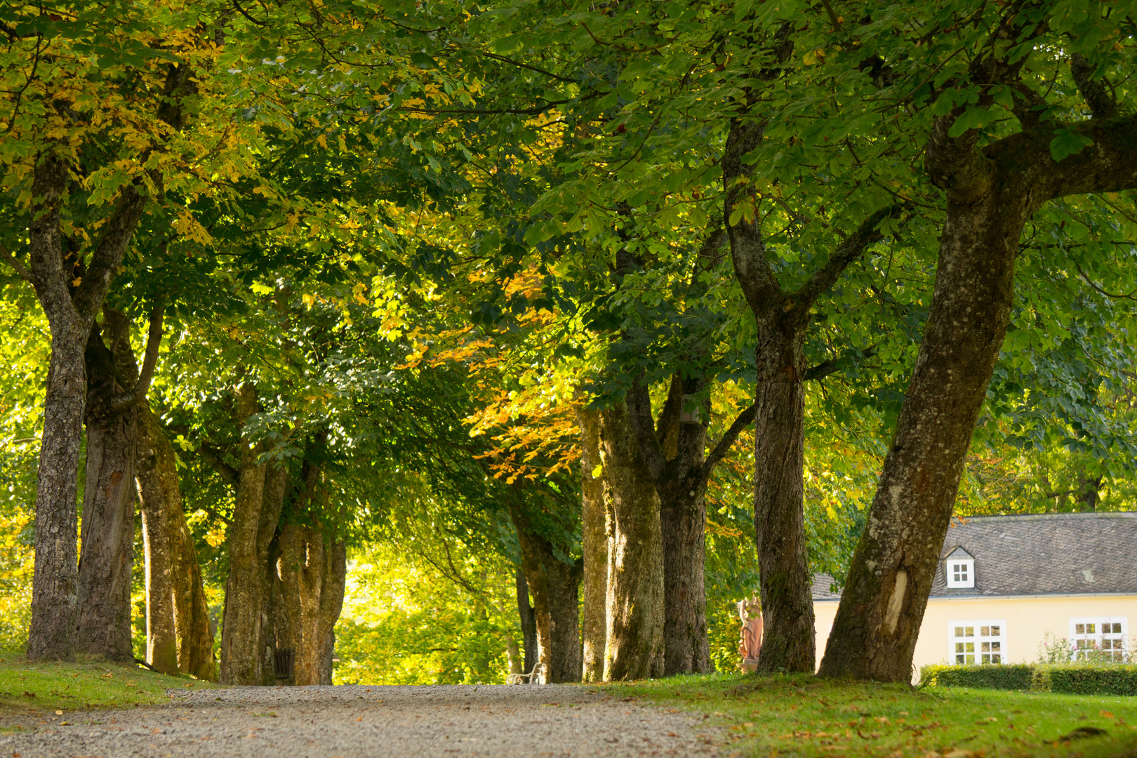 Kastanienallee