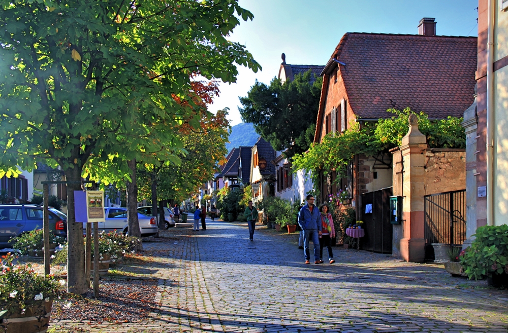 Kastanienallee (1)