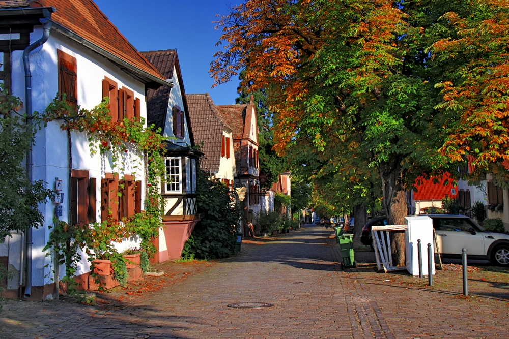 Kastanienallee (2)