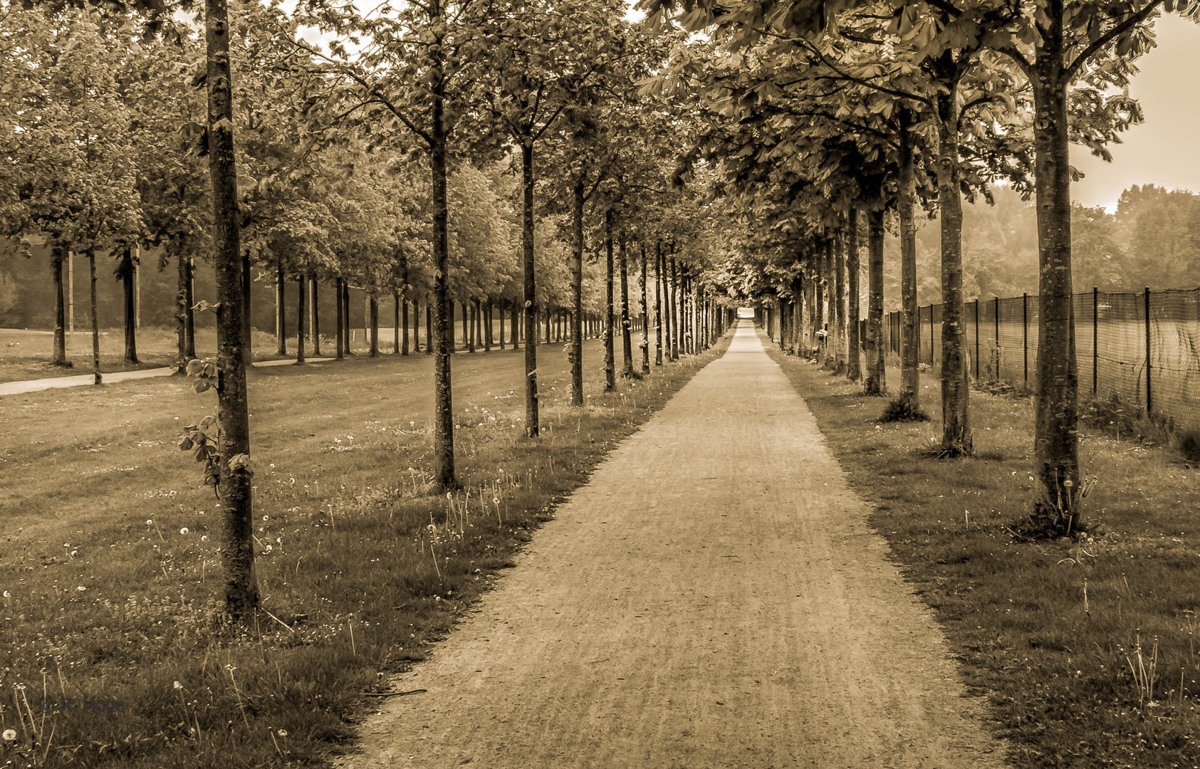 Kastanienallee