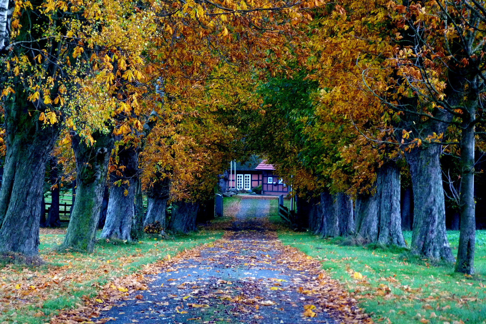 Kastanienallee