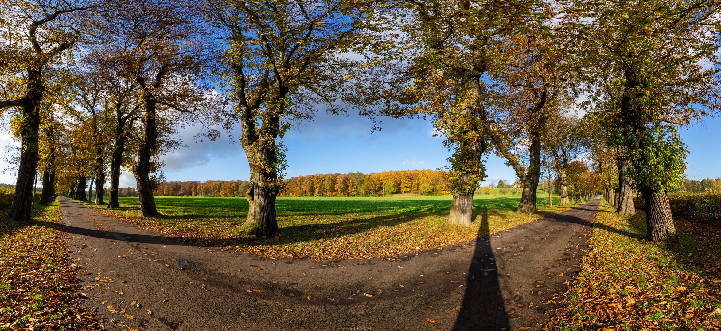 Kastanienallee