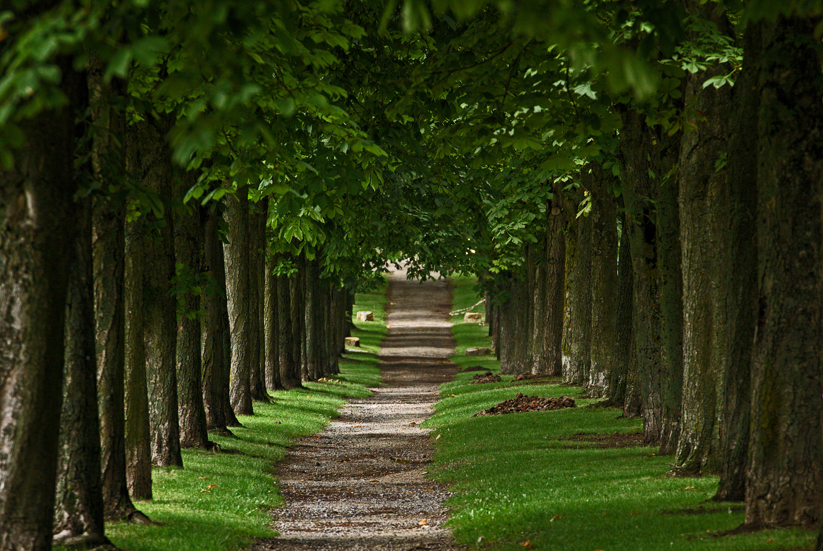 Kastanienallee