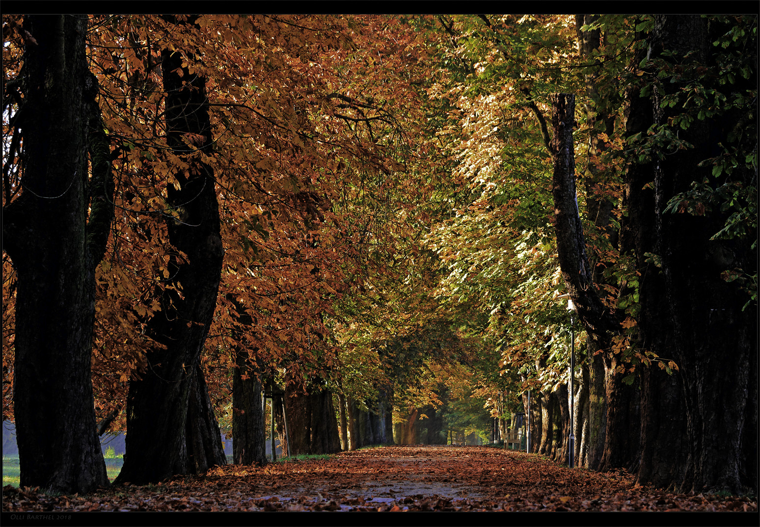 Kastanienallee