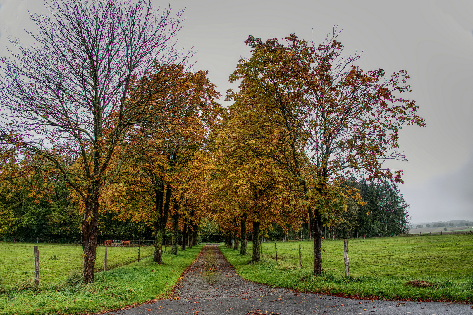 Kastanienallee