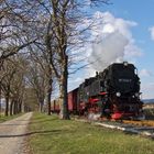 Kastanienallee am Ostersonntag