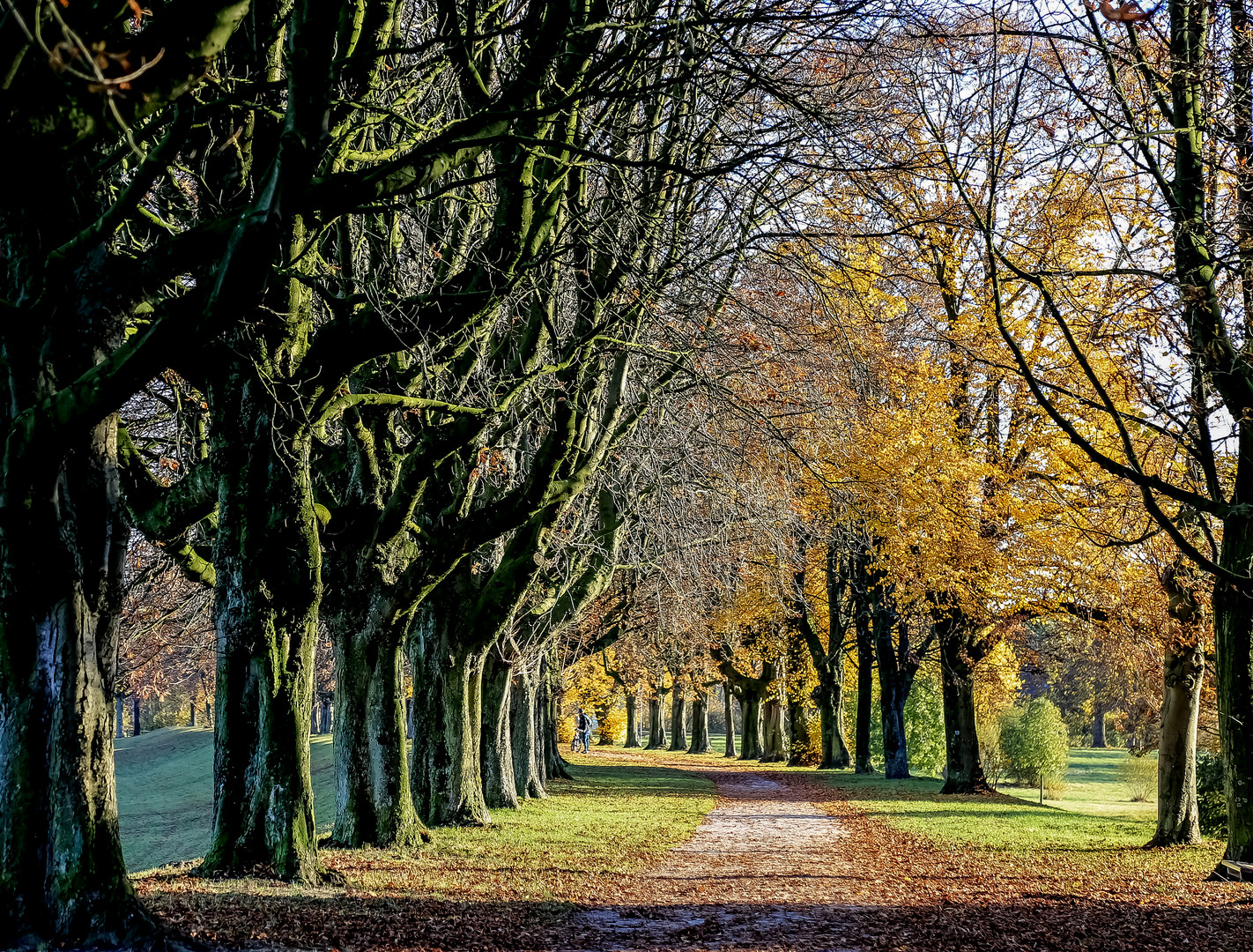 Kastanienallee