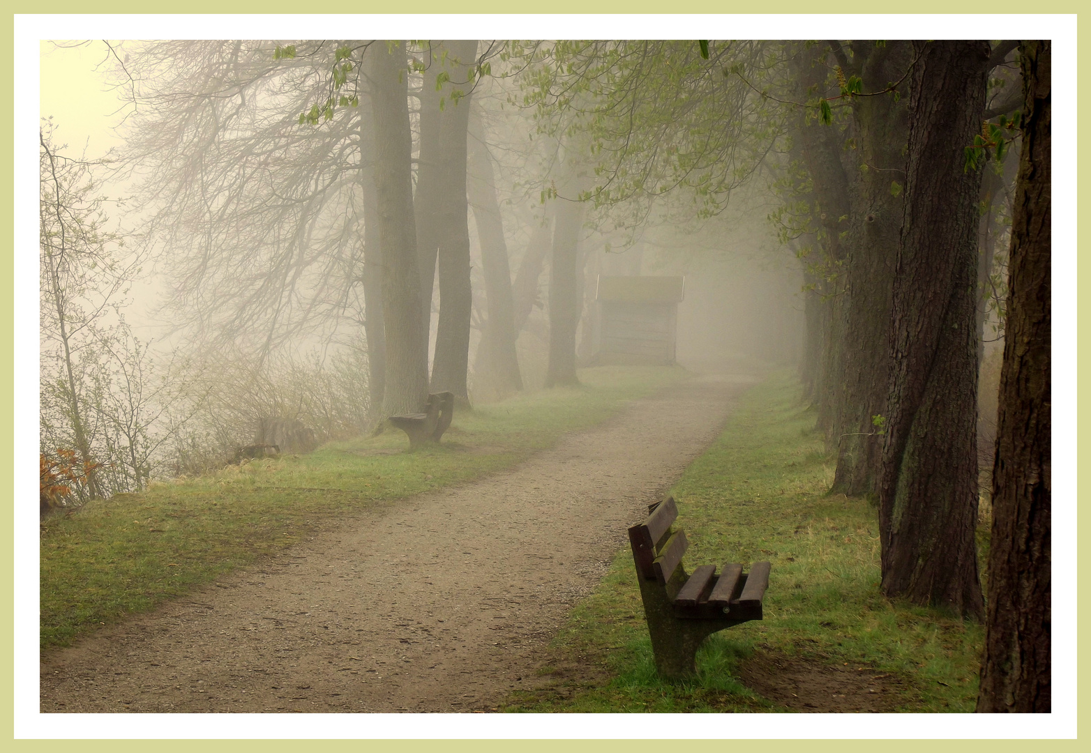 Kastanienallee im Morgennebel