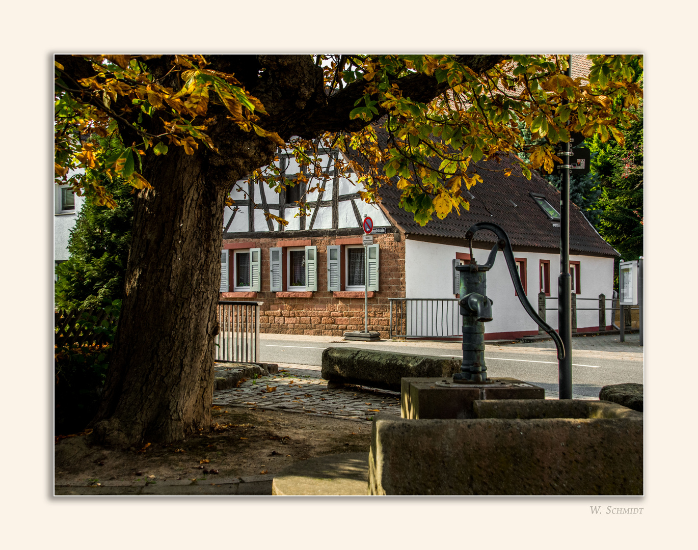 Kastanienbaum als Schattenspender in der Ortsmitte