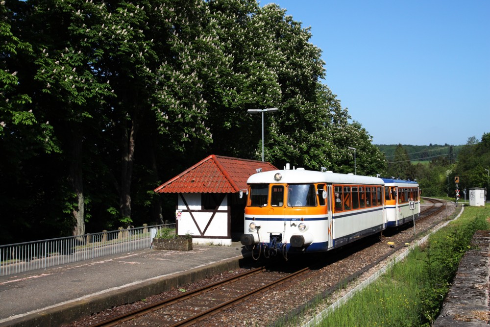 Kastanienblüte in Eschelbronn ...