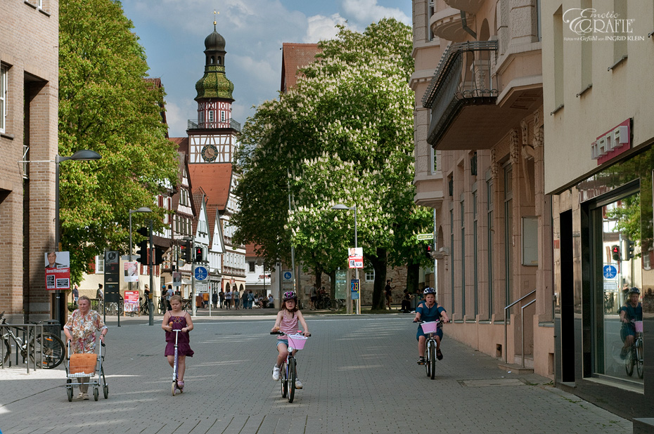 Kastanienblüte in Kirchheim-Teck