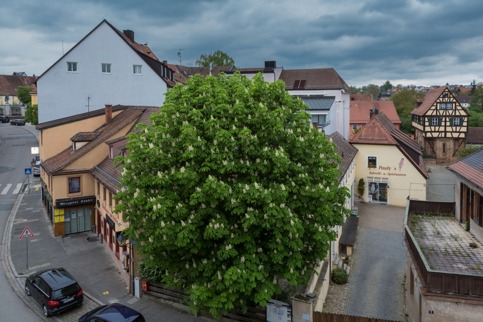 Kastanienblüte mitten in der Stadt