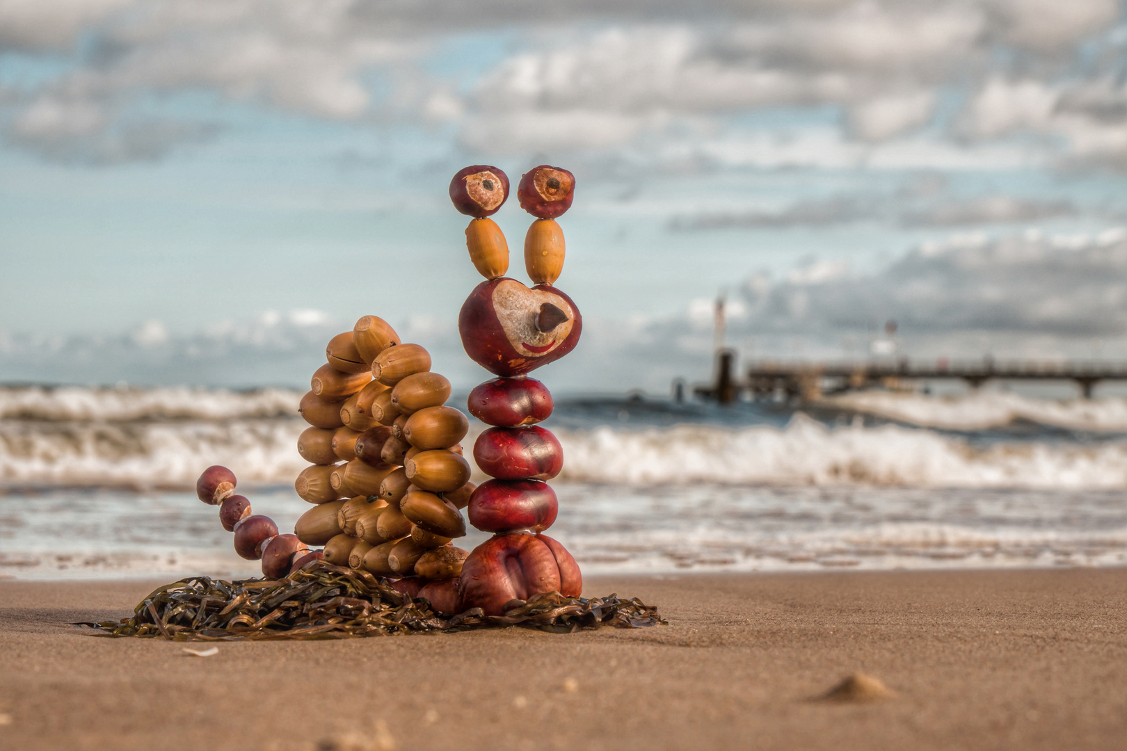 Kastanienschnecke am Meer 