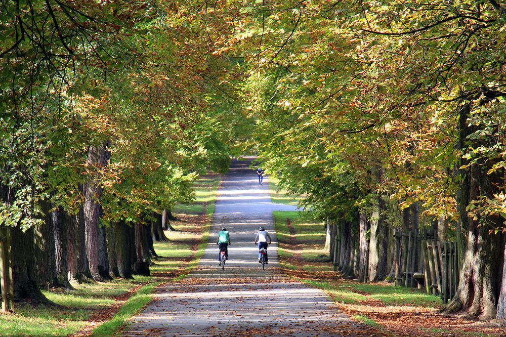 Kastanienweg