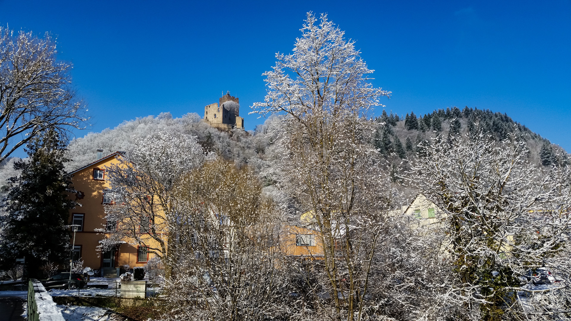 Kastelburg-Ruine Waldkirch