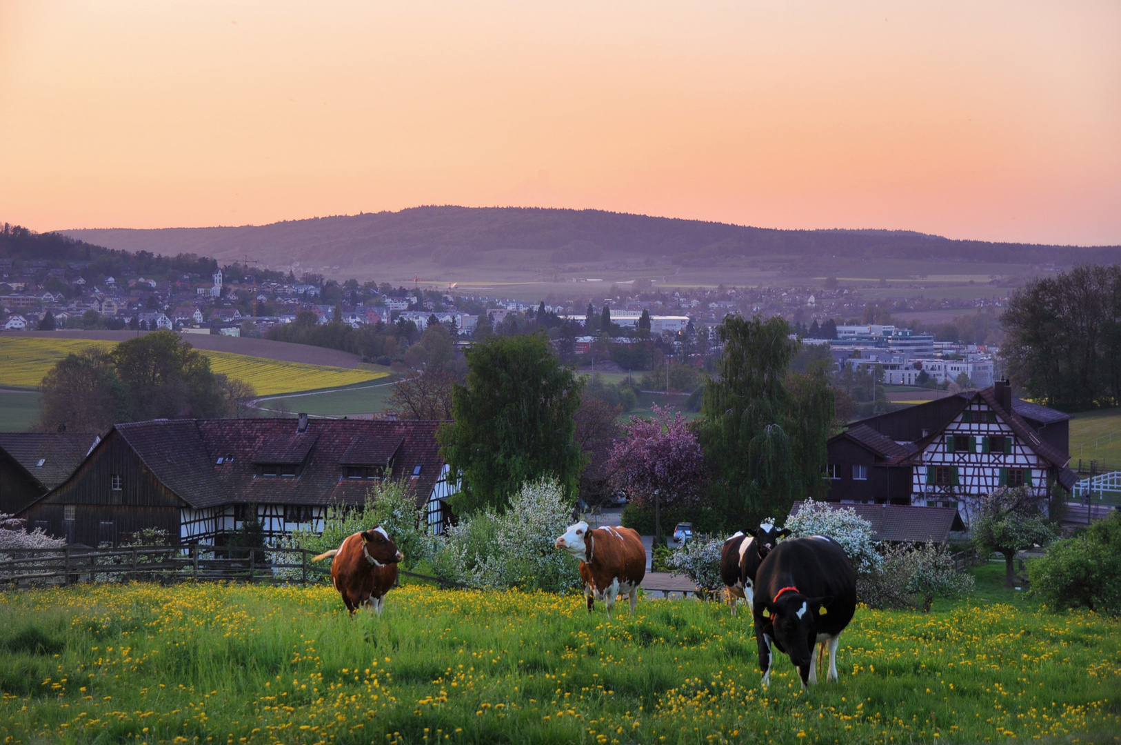 Kastelhof sicht