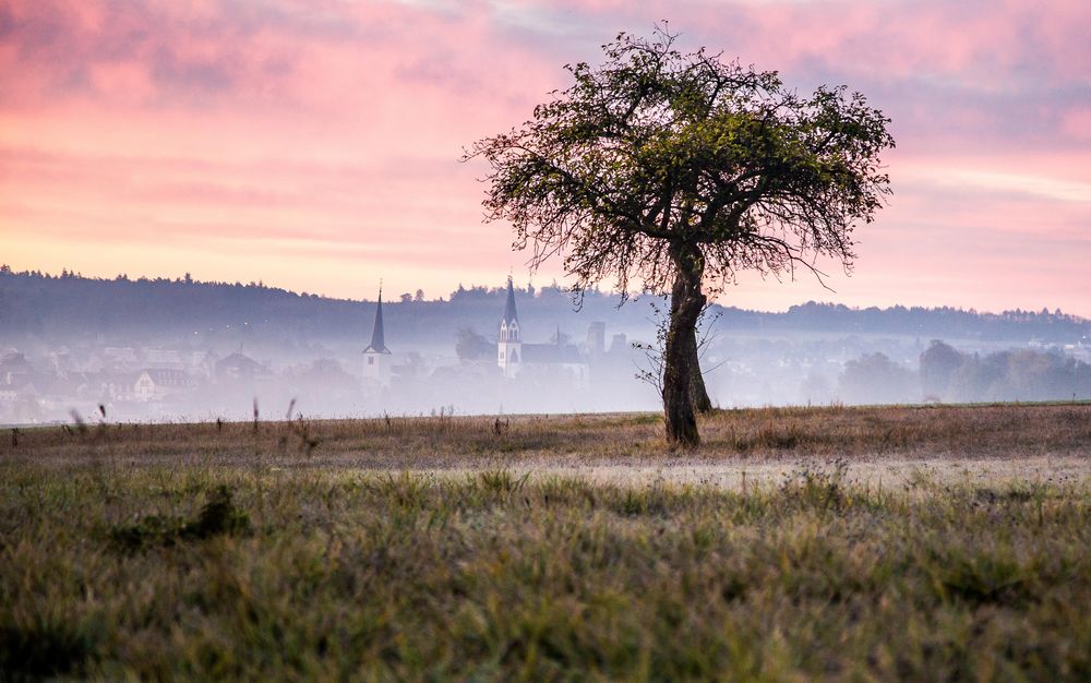 Kastellaun. Foto & Bild deutschland, europe, rheinlandpfalz Bilder