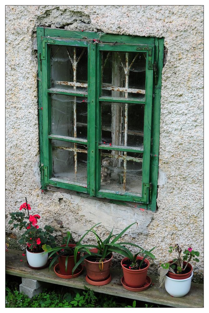 Kastenfenster mit Igel