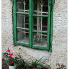 Kastenfenster mit Igel