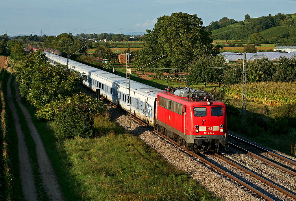 Kastenzehner mit Talgo am Haken