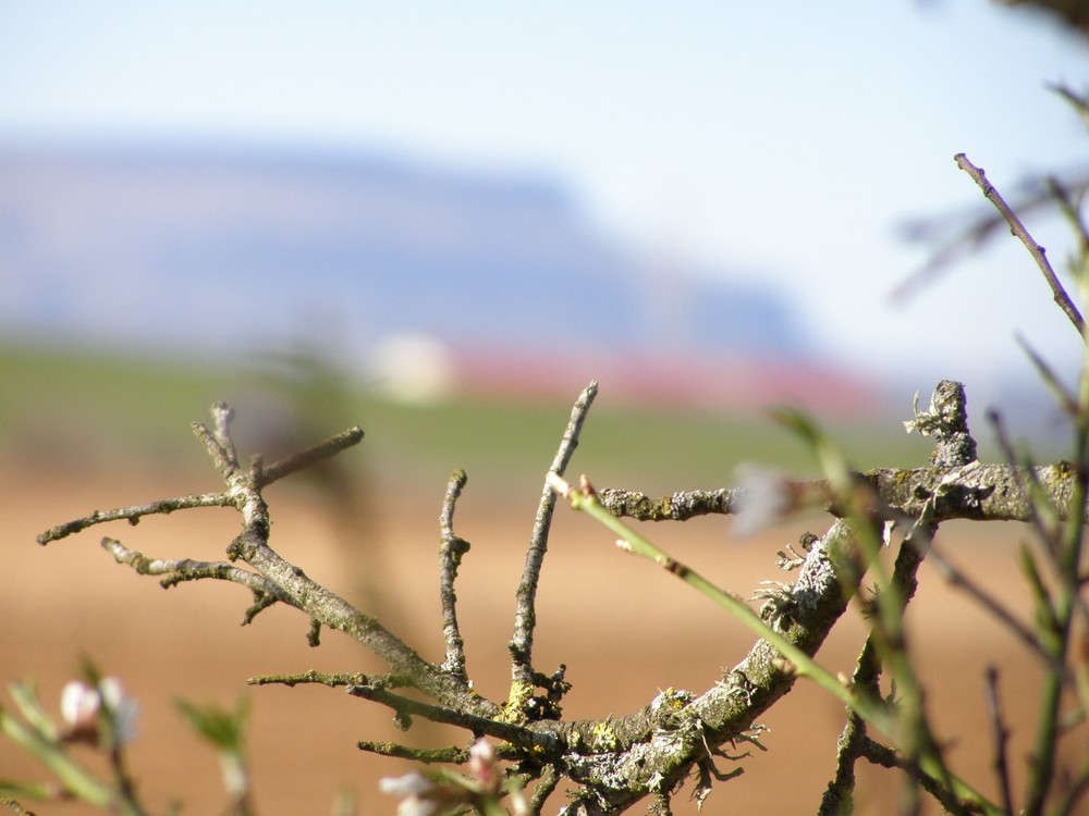 Kastilischer Landschaft