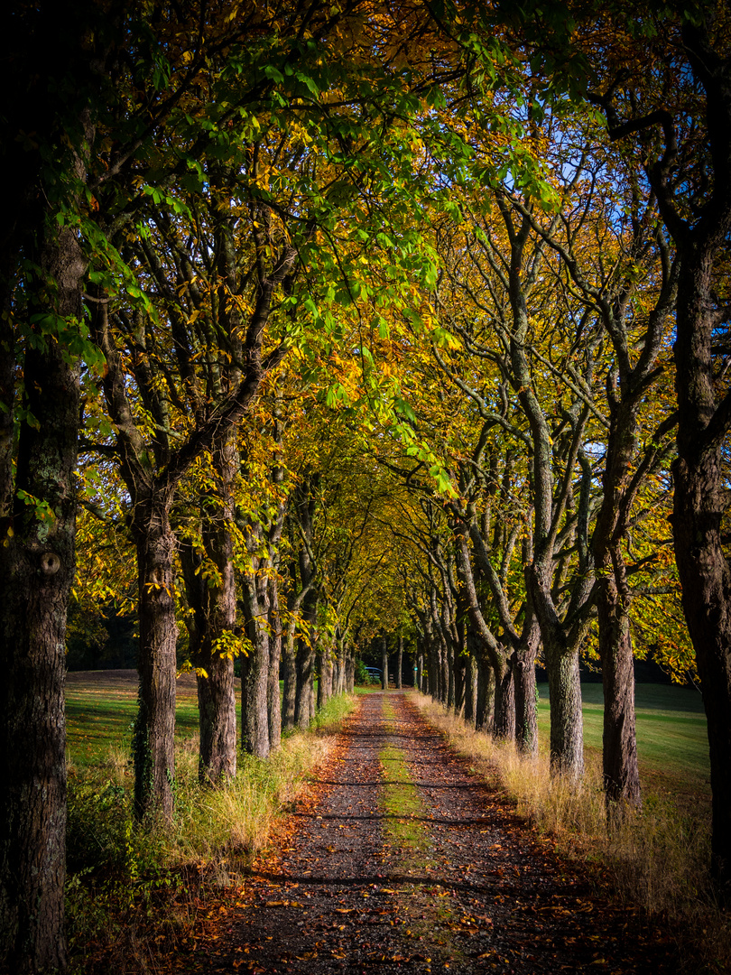 Kastnien-Allee