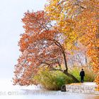 KASTORIA HELLAS