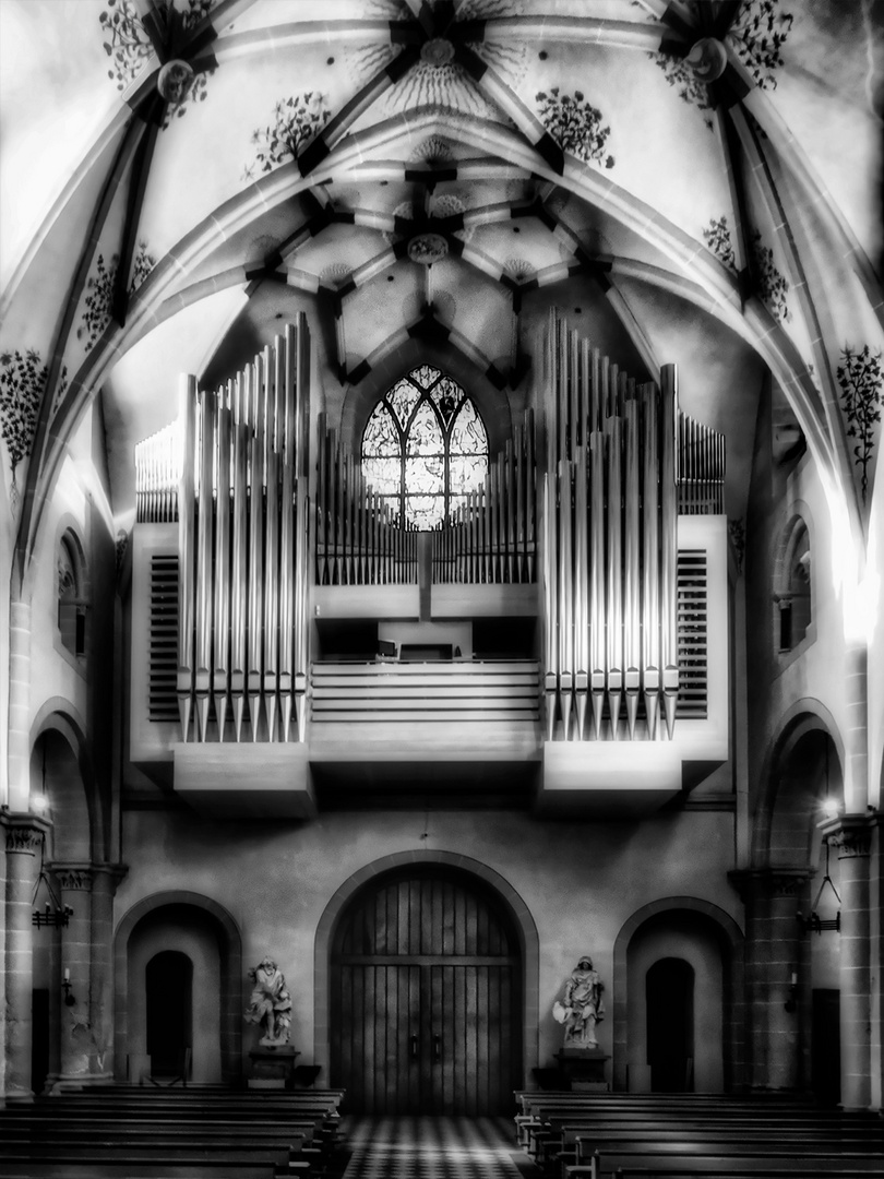 kastorkirche-koblenz-03-sw