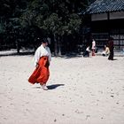 Kasuga Japan 1981