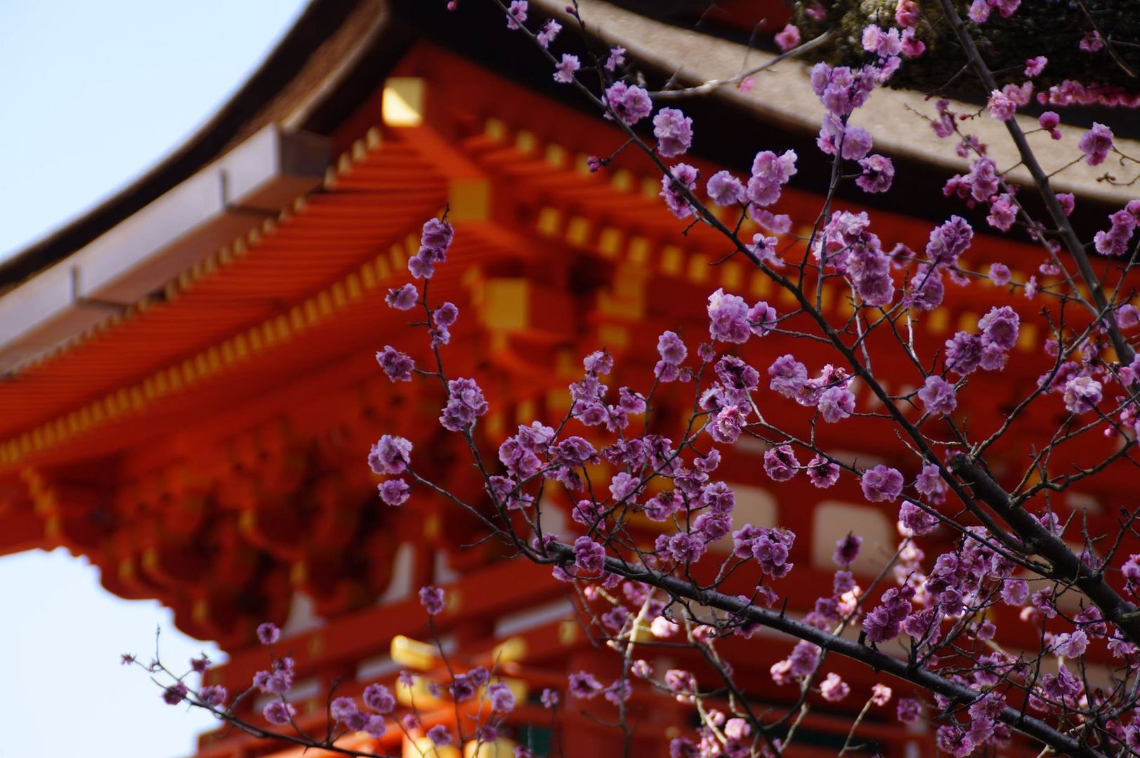 Kasuga Taisha